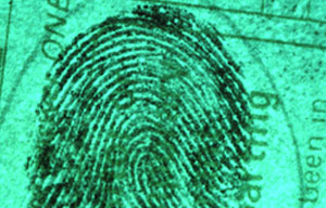 Forensic fingerprint example